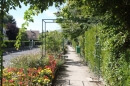 Milly-la-Forêt